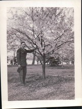 Vintage Sargent Holding Tree Limb Standing Under Cherry Blossom Tree WWI... - $4.99