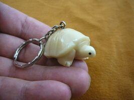 (TNE-T-TUR-255) Turtle tortoise TAGUA NUT Vegetable palm Key ring CHAIN - $17.93