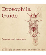 1972 Drosophila Guide Fruit Flies Insects Entomology PB Illustrated Vint... - $550.85 MXN