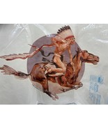 Vtg 1980 Holoubek Iron-On Express Pony War Dance Native American 10 pc - $17.32
