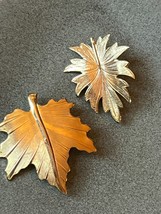 Lot of Small Etched Goldtone Maple Leaf &amp; Other Leaf Pin Brooch – the maple leaf - £9.02 GBP
