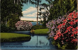 Tropical Lagoon at Florida Cypress Gardens Postcard PC48 - £4.01 GBP
