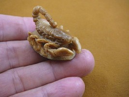 (tb-scorp-2) little tan scorpion Tagua NUT palm figurine Bali carving Sc... - $49.08