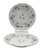 Johann Haviland Blue Garland Salad Plates Floral Set Of 2 Bavaria German... - $11.29