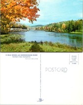 New Hampshire 13 Mile Woods &amp; Androscoggin River in Autumn Fall Vintage Postcard - £7.44 GBP