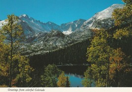 Postcard Greetings From Colorful Colorado Autumn Leaves Unused Continental Card - $5.93