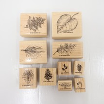 Stampin Up Leaves and Acorn Mounted Rubber Stamp Set of 10 Pieces Very Nice - £19.98 GBP