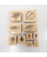 Stampin Up Leaves and Acorn Mounted Rubber Stamp Set of 10 Pieces Very Nice - £19.95 GBP