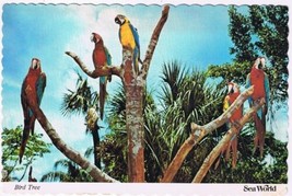 Postcard Bird Tree Macaws Parrots Sea World Orlando Florida - £2.27 GBP