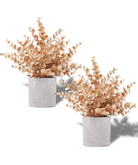 2 Pack Gold Eucalyptus Small Fake Plants Potted Artificial Plants for Ch... - $30.56 CAD