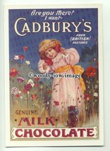 ad0264 - Cadburys Chocolate - Little Girl With Kitten - Modern Advert Postcard - £1.98 GBP