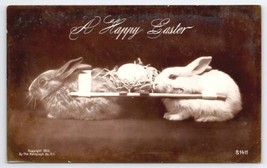 Happy Easter Bunny Rabbits Carrying Egg Real Photo Postcard C42 - £5.46 GBP