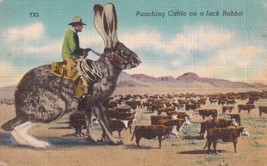 Man Herding Cattle from Giant Jack Rabbit Postcard D47 - £2.39 GBP