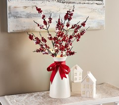 Set of 2 27&quot; Illuminated Berry Branches by Valerie in Red - £151.51 GBP