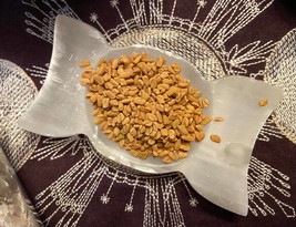 .5 oz Fenugreek Seed, Money Drawing, Prosperity, Help Finding Money - £0.99 GBP