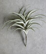 Set Of 4 Realistic Large Artificial Air Plant Succulents Stem Green Bota... - €170,72 EUR