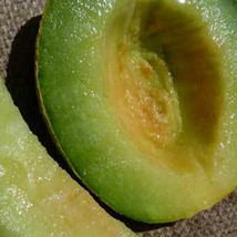 Ship From Us Organic Rocky Ford Green Flesh Melon Seeds ~8 Oz Seeds, Fruit, TM11 - £99.08 GBP