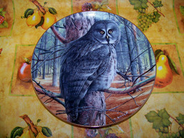 Danbury Mint The Grey Ghost Owl Plate The Majesty of Owls Trevor Boyer  - $18.95