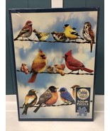 Cobblehill 85034 500 pc Birds on a Wire Puzzle NEW Sealed W/ Poster - $357.94 MXN