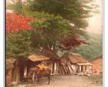 Street View Miyagino Village Hakone Japan UNP UDB Postcard W8 - $9.85