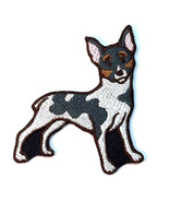 Rat Terrier Dog Patch Iron on No Name - $9.01 CAD