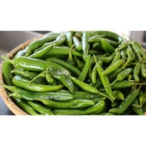 Korean Long Green Hot Pepper Seeds Fresh Seeds USA - £10.31 GBP