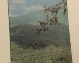 Vintage Smoky Mountain Scenic Tours Brochure Gatlinburg Tennessee BR4 - £7.01 GBP