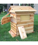 Auto Flowing Honey Hive Beehive 7 Frames &amp; Beekeeping Brood Cedarwood Box - $488.63 CAD
