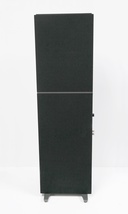 Definitive Technology DM60 Dymension Mid-Size Tower Speaker (Each) image 4