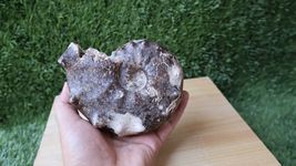 Item image 11