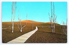 Postcard Desolation Boardwalk Hawaii Volcanoes National Park HI - £2.96 GBP