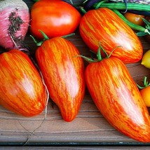 Striped Roman tomato 10 seeds sweet flavor great for sauce showy Roma artisan to - $12.38