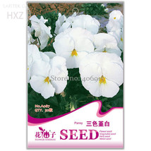 White Herb Pansy Flower Original Pack 50 seeds - $8.98