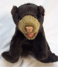 Folkmanis Cute Realistic Little Baby Bear 8&quot; Plush Stuffed Animal Toy - £15.79 GBP