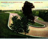 Serpentine Drive Schenley Park Pittsburg Pennsylvania PA 1908 DB Postcar... - $6.88