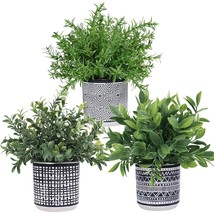 Set Of 3 Small Potted Plants Artificial Eucalyptus Rosemary Boxwood Plants In Bl - £31.63 GBP