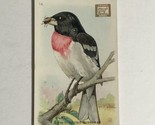 Arm &amp; Hammer Useful Birds Of America Antique #14 Rose Breasted Grosbeak ... - £3.15 GBP