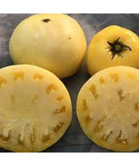 50 + Seeds  Big White Tomato Juicy Tomatoe Vegetable Garden Edible Food ... - $8.94