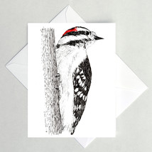 Downy Woodpecker Note Cards - $4.25+