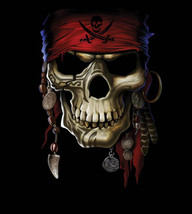 Skull Pirate - £9.22 GBP
