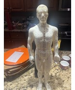 48 Cm Male Acupuncture Statue - $64.14 CAD