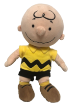 Kohls Cares Charlie Brown Peanuts 14&quot; Plush VGUC Charles Schulz Comics Blockhead - £7.78 GBP