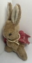 Vintage EDEN Rabbit Bunny Plush Peter Rabbit 12 Inches Stuffed Animal - £9.53 GBP