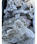 Used Aquarium Reef Rocks (By The Pound) - $55.92 MXN