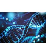 24-Strand DNA Activation with Bonus 144th Strand Activation Awaken heal ... - $29.47