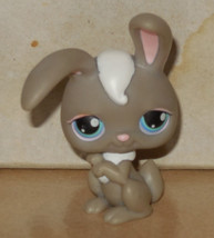 Hasbro Littlest Pet Shop Lps #14 Rabbit Bunny White Gray Blue Eyes - £11.56 GBP