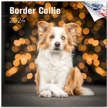 Border Collie Wall Calendar 2024 Animal DOG PET Lover Gift - $24.74