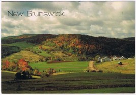 Postcard Autumn Colours New Waterford New Brunswick 4 3/4&quot; x 6 1/2&quot; - $4.94