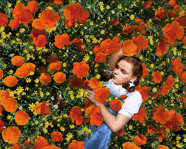 Wizard of Oz Poster 24x36 inches Dorothy Asleep in the Poppy Field Judy ... - $45.00