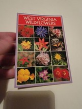 Vintage Postcard Post Card VTG Photograph West Virgina Wildflowers - £7.16 GBP